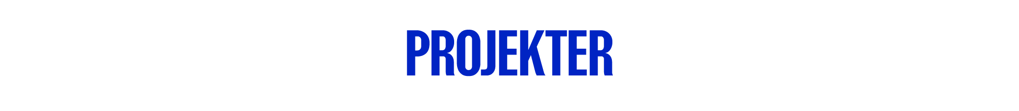 Projekter